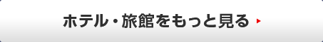 ホテル・旅館をもっと見る