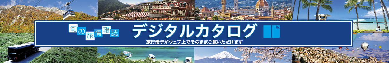 デジタルカタログ