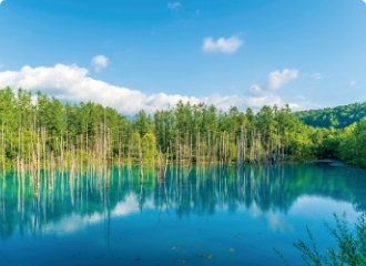 青い池（美瑛）