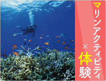 マリンアクティビティ×体験