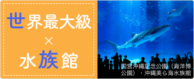 世界最大級×水族館