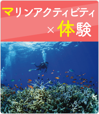マリンアクティビティ×体験