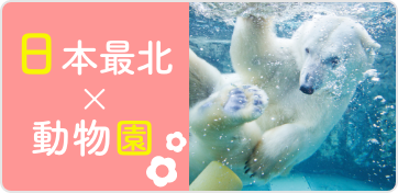 日本最北×動物園
