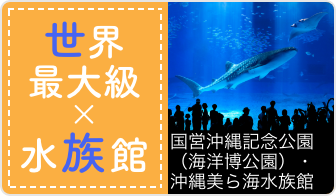 最大級×水族館