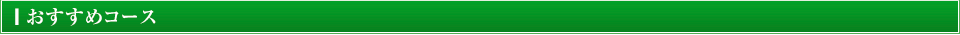 おすすめコース