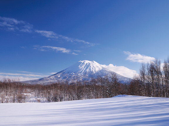 ニセコ
