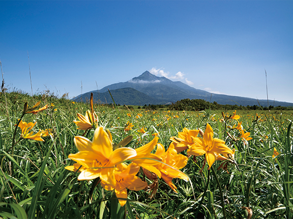 利尻島・礼文島