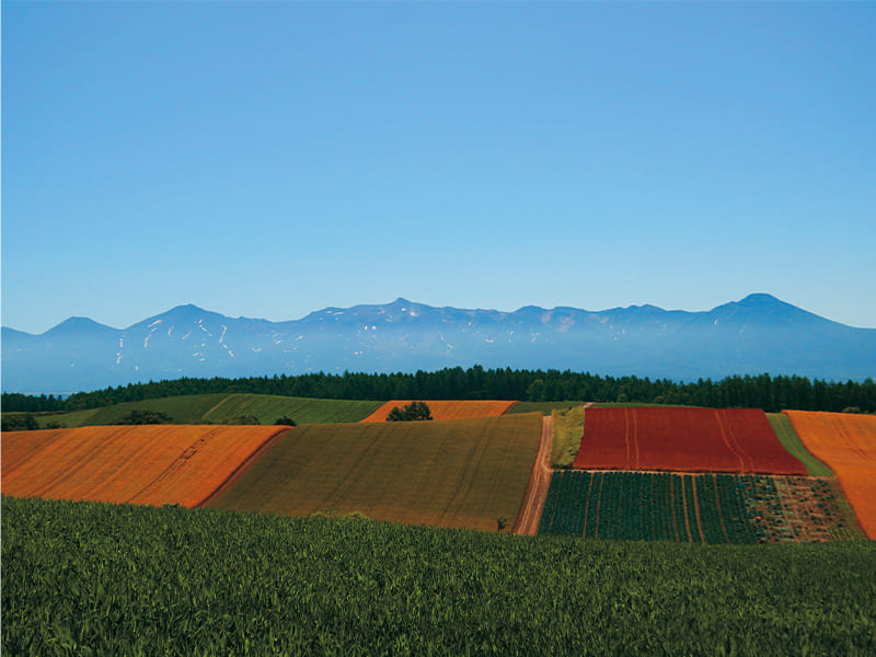 パッチワークの丘