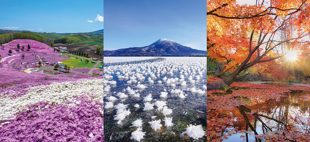 北海道旅行のおすすめ時期は？