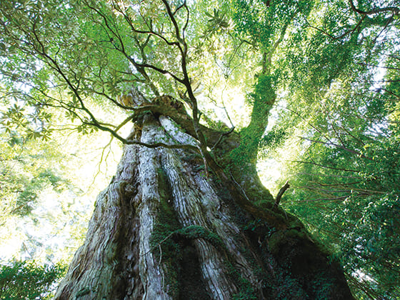 悩みなんか吹き飛んだ