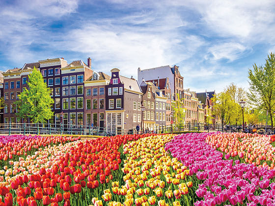 心安らぐ優しい香り