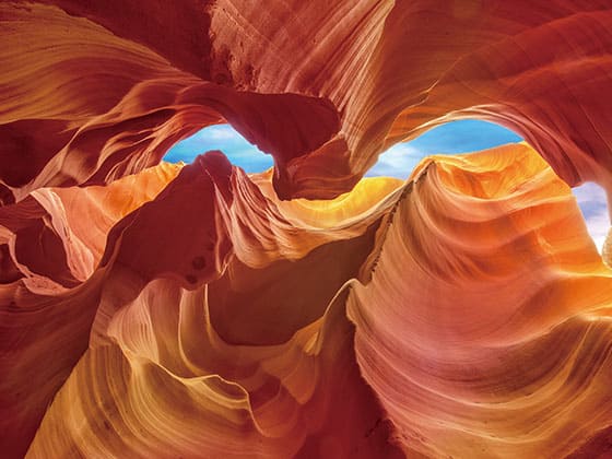 これぞ自然の驚異！