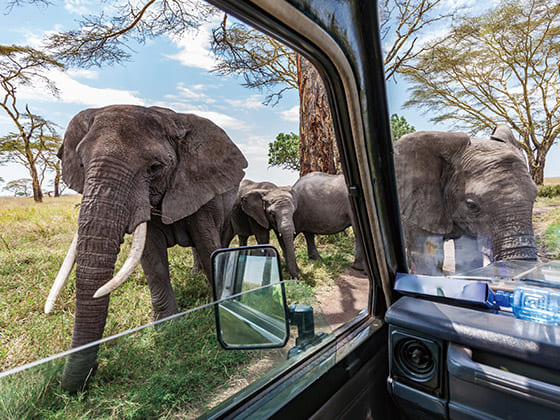 ドキドキの大接近！