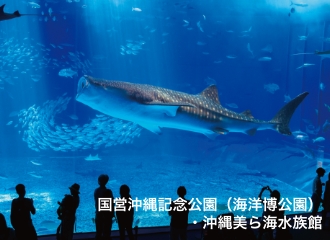沖縄美ら海水族館
