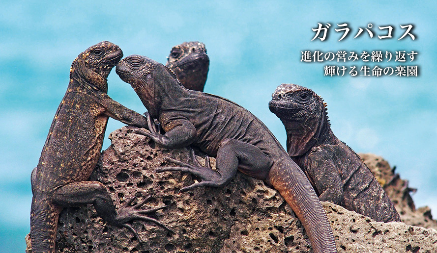 危機にある世界遺産