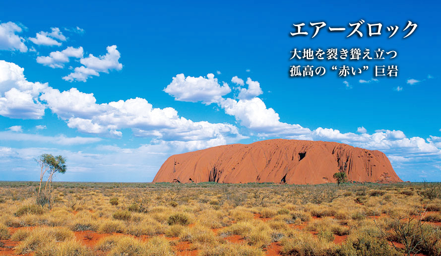 世界遺産を未来へ