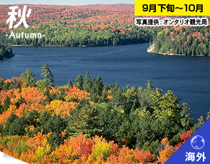 メープル街道 ＜カナダ＞