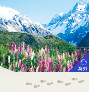 マウントクック