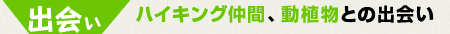 ハイキング仲間、動植物との出会い