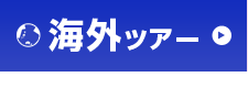 海外ツアー