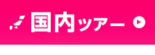 国内ツアー