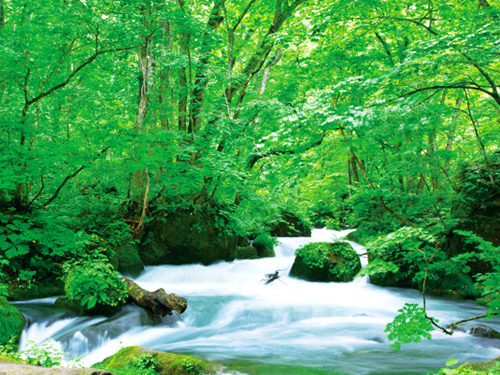 奥入瀬渓流