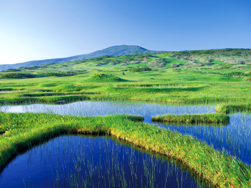 弥陀ヶ原と月山