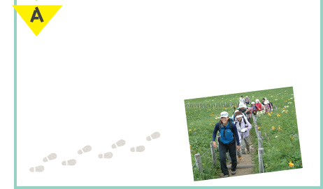 ハイキング慣れしていなくても大丈夫？