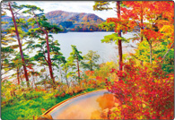 サービス・業務内容