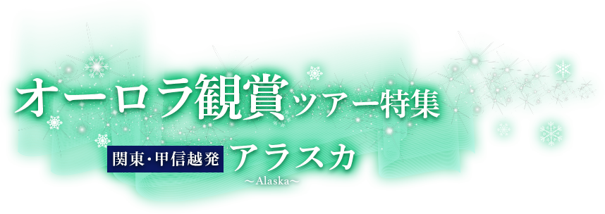 関東・甲信越発 オーロラ観賞ツアー特集 ~夜空を彩る光の芸術へ~ アラスカ