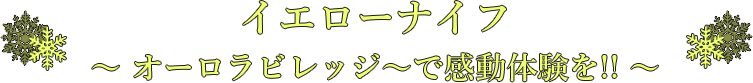 イエローナイフ〜オーロラビレッジ〜で感動体験を!!〜