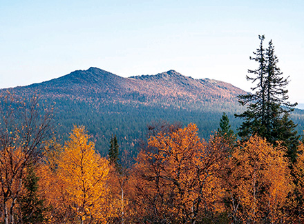 ウルホケッコネン国立公園