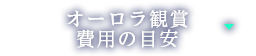 オーロラ観賞費用の目安