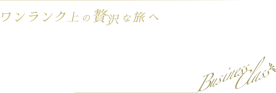 ビジネスクラス海外旅行·ツアー