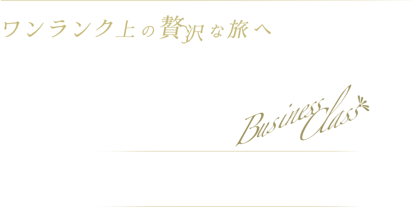 エミレーツ航空ビジネスクラス海外旅行・ツアー