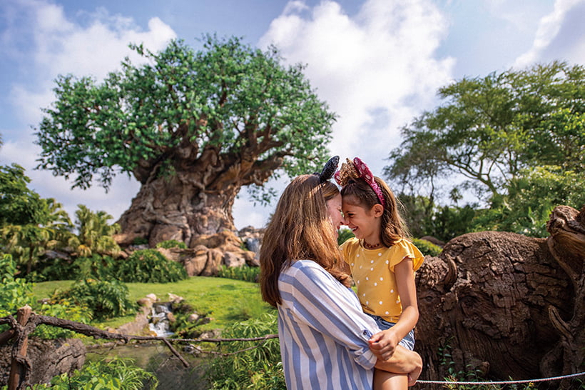 ツリー・オブ・ライフ