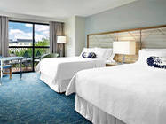 ウォルト・ディズニー・ワールド・スワン