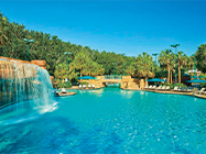 ウォルト・ディズニー・ワールド・ドルフィン