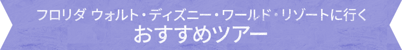 フロリダ ウォルト・ディズニー・ワールド・リゾートに行くおすすめツアー