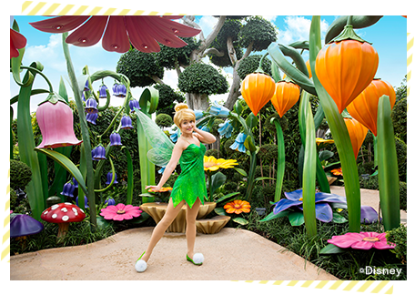 フェアリーテール・フォレスト