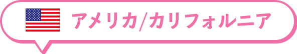 アメリカ/カリフォルニア