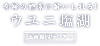ウユニ塩湖(ボリビア)ツアー・旅行特集 奇跡の絶景に酔いしれる!