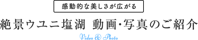 感動的な美しさが広がる 絶景ウユニ塩湖 動画・写真のご紹介
