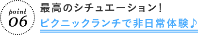 point 06 最高のシチュエーション! ピクニックランチで非日常体験