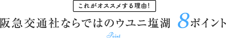 これがオススメする理由! 阪急交通社ならではのウユニ塩湖 8ポイント