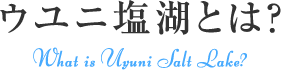 ウユニ塩湖とは?