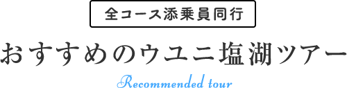 全コース添乗員同行 おすすめのウユニ塩湖ツアー