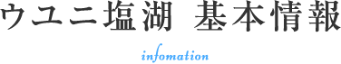 ウユニ塩湖 基本情報