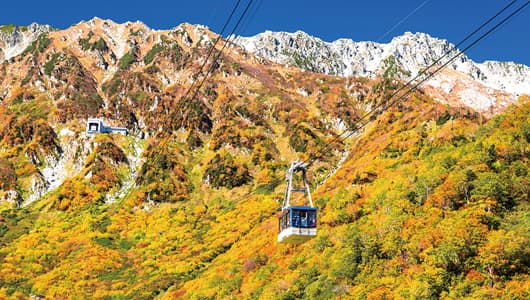 紅葉(9月中旬~10月中旬)