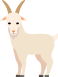 ヤギ